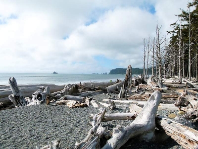 Rialto Beach (Forks)