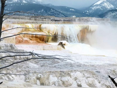 Mammoth Hot Springs Terraces