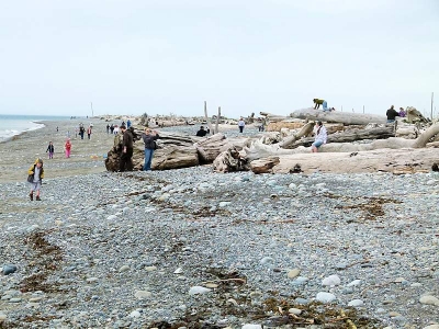 Dungeness Wildlife Refuge